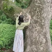 さわの画像