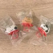 Riの画像