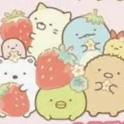 せこかの画像