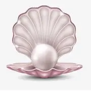 perle pal (ペルルパル)の画像