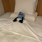 ニの画像