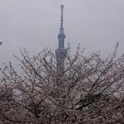 ヒロ
