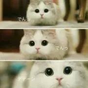 ★Mie★