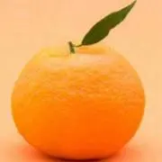 tororomikanの画像