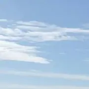 pinopinoの画像