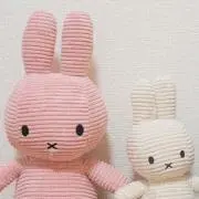 なつんmomの画像