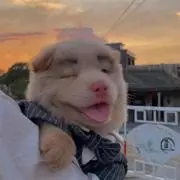 うらの画像