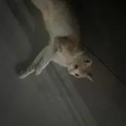 mm._.mの画像