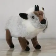 かもしかの画像
