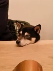 rhythmの画像