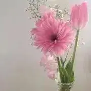 ふらわーの画像