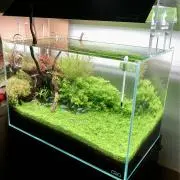 りょうの画像