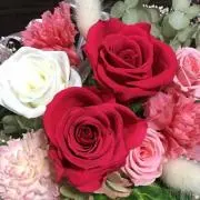 BLISSの画像