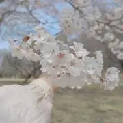 みるく