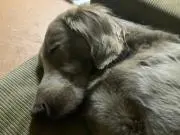 わんたとあき