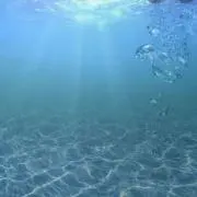 ロークレアの画像
