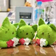 くまこの画像