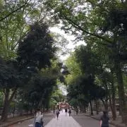 ひょくちゃんの画像