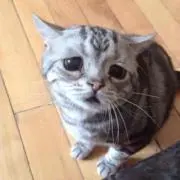 みつの画像