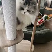 miの画像