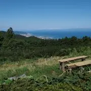 jdtm8の画像