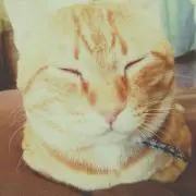 ちゃたた。の画像