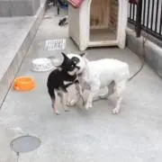 菅田