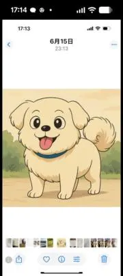BOB✨プロフ必読✨お値下げ歓迎の画像