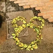 Nanaの画像
