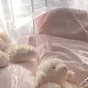 REN  即日発送、値下げ⭕️の画像