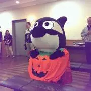 ゆか