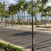 ネムスンギの画像