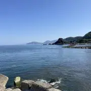 サツキ