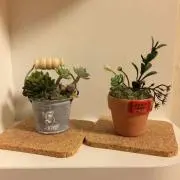 よし☆