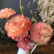 ⭐️ハチドリ⭐️（プロフ必読）⭐️の画像