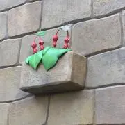 ｋｏｋｉの画像