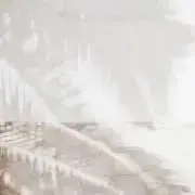 CHIi☽の画像