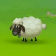 まきばひつじ