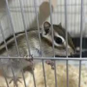みなちゃんの画像