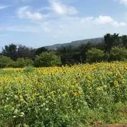 断捨離ぷりん♡ときどき農家!の画像