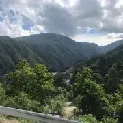 h2r0t3k0の画像
