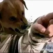 月亭