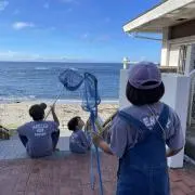 mmの画像