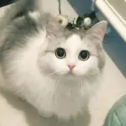 るい