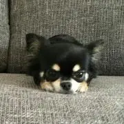 ty5