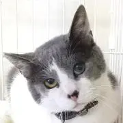 Y.Tの画像