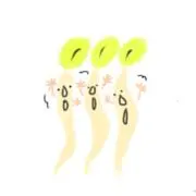 ota.の画像