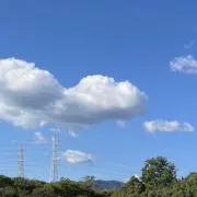 もやっこの画像
