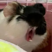 必ずプロフィールご一読ください