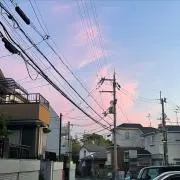 【4月19日まで】みみの画像